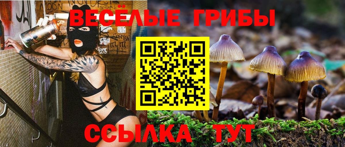 Зеленодольск  Галлюциногенные грибы Psilocybine cubensis  Вход с VPN 